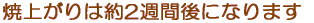 쎞Ԃ2ԂقǁAďオ͖2TԌɂȂ܂ 