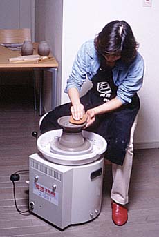 Z‐991使用状態